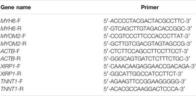 Global Landscape of m6A Methylation of Differently Expressed Genes in Muscle Tissue of Liaoyu White Cattle and Simmental Cattle